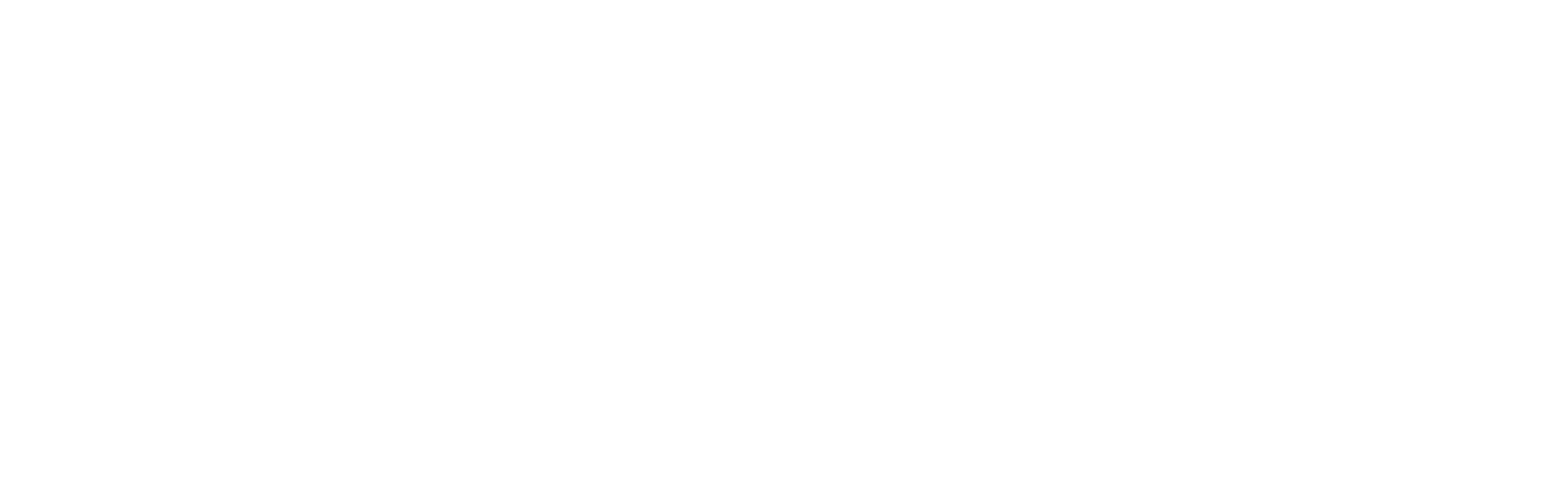 CITEX Logo